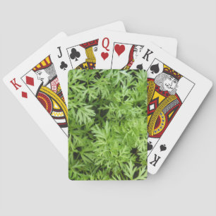Carrot Tops Jugando Cartas