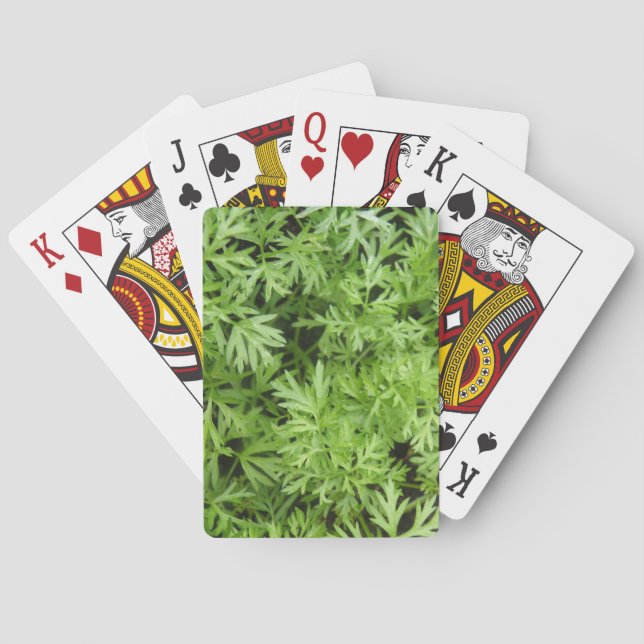Carrot Tops Jugando Cartas (Reverso)