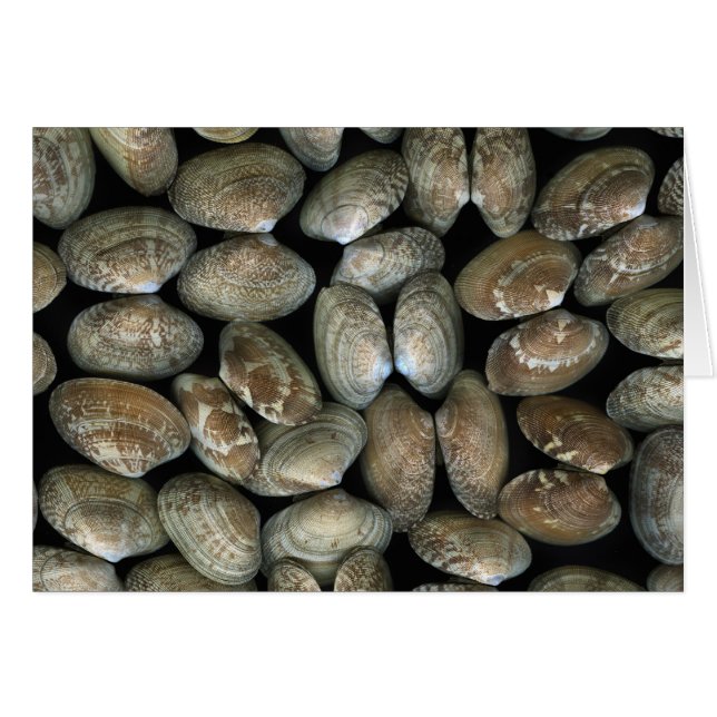 Carrotes de almejas (Anverso (Horizontal))