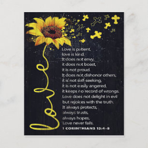 Carta A Mi Marido, Nuevo Regalo De Casa
