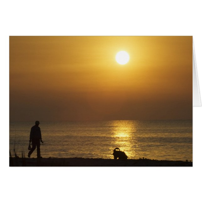 CARTA: CAMINANDO PERRO EN SUNRISE (Anverso (Horizontal))