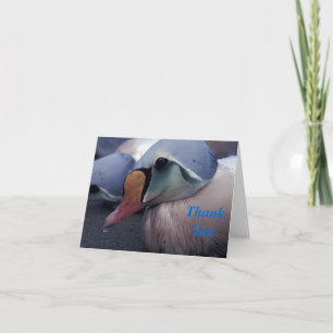 carta de agradecimiento de king eider male