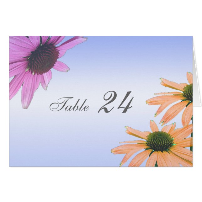 carta de la cena, flores de margarita. (Anverso (Horizontal))