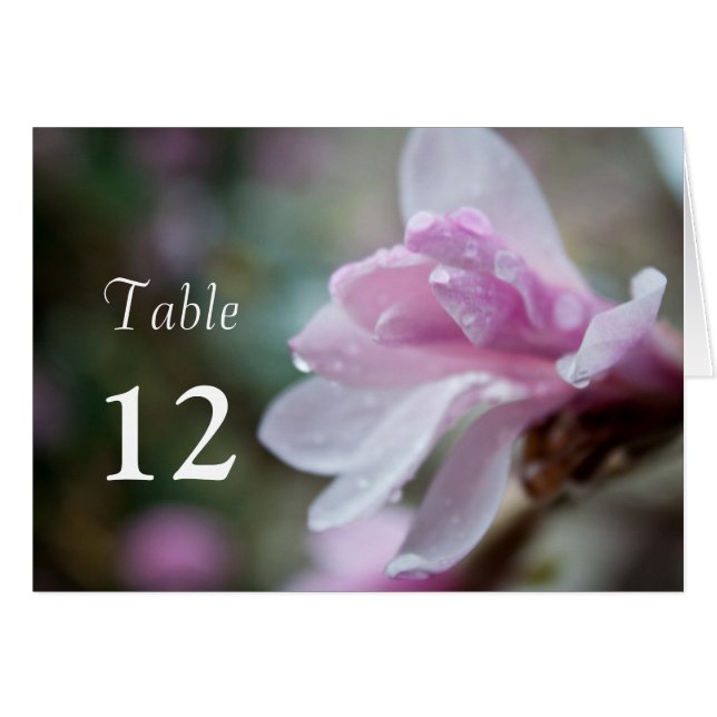 carta de la mesa de la cena con flores de magnolia (Anverso (Horizontal))
