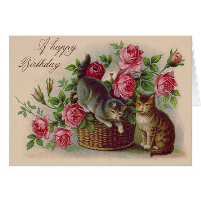 Carta de Rosas de cesta de gato (Anverso (Horizontal))