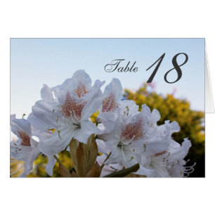 carta número de mesa de cena de flores de azalea b