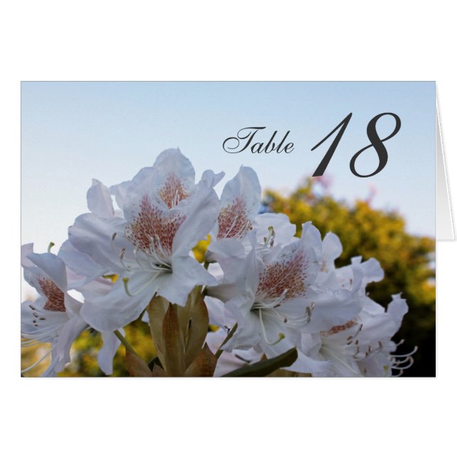 carta número de mesa de cena de flores de azalea b (Anverso (Horizontal))