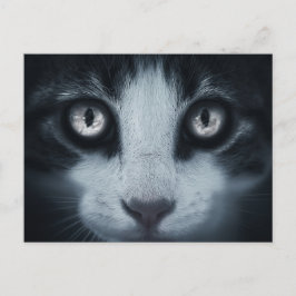 Carta postal de consideración de chat
