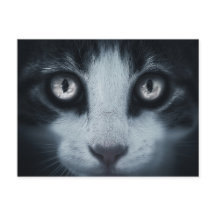 Carta postal de consideración de chat