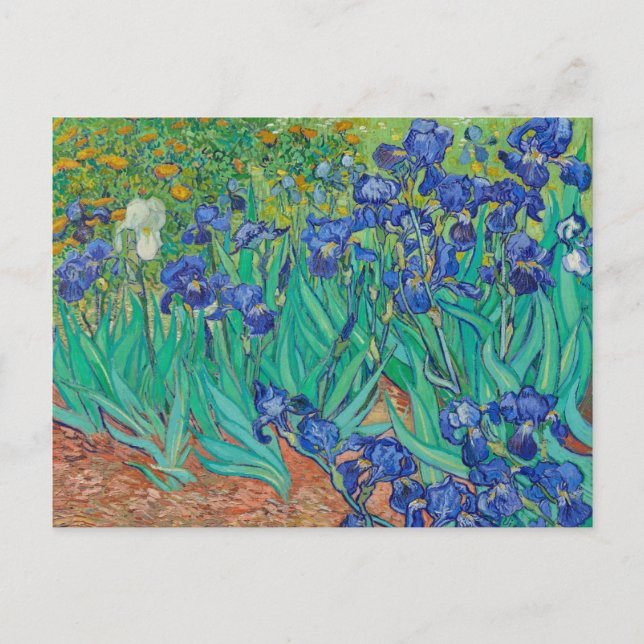CARTA POSTAL "IRISES 1889" DE VINCENT Van Gogh (Anverso)