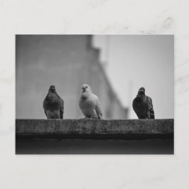 Cartão Postal - Três Pombos (Avenida Paulista)|Nº3