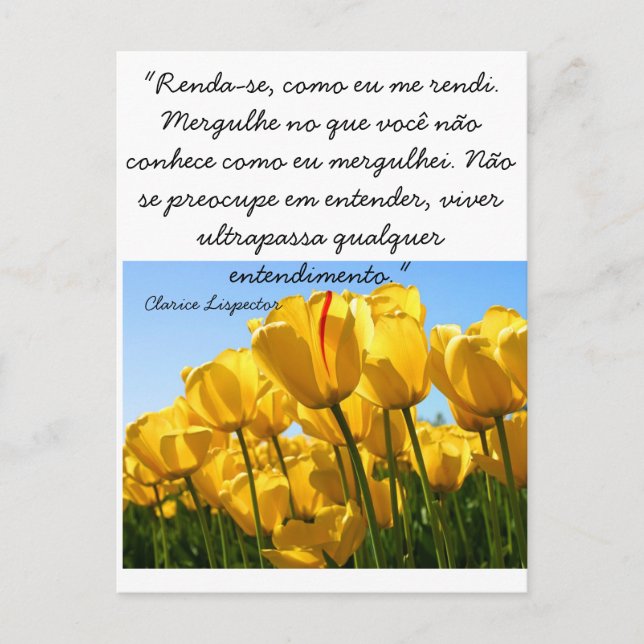 Cartão Postal - Tulipas - Clarice Lispector (Anverso)