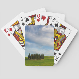 Cartas Árboles de Cypress en baraja del póker de Toscana