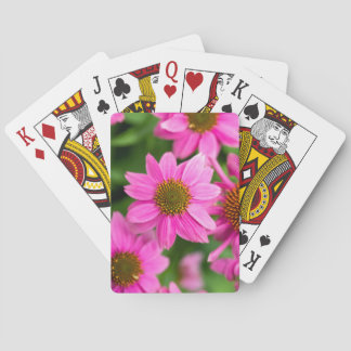 Cartas clásicas con equinácea rosa