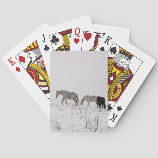 Cartas clásicas de caballos en la nieve (Reverso)