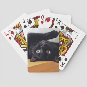 Cartas clásicas de gato negro al revés