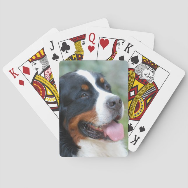 Cartas Cuta baraja Bernesa de tarjetas (Reverso)