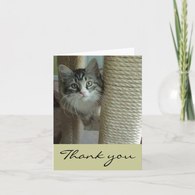 Cartas de agradecimiento a gato siberiano (Anverso)