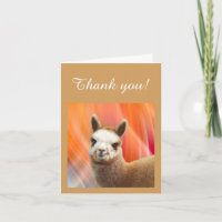 Cartas de agradecimiento Alpaca Rossi