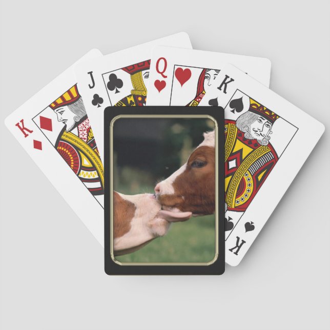 Cartas de arte fotográfico con besos de vaca (Reverso)