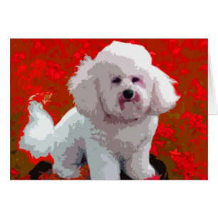 Cartas de arte pop de Bichon Frise