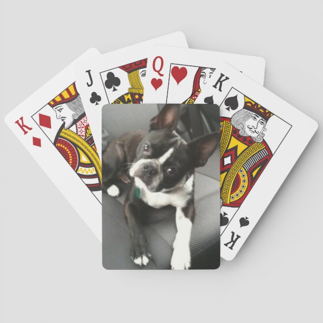 Cartas de Buda de Boston Terrier (Reverso)