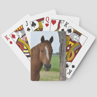 Cartas de Caballo junto al Árbol