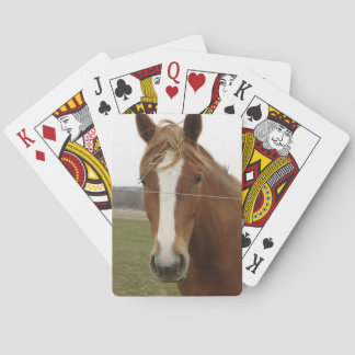 Cartas de caballos jugando
