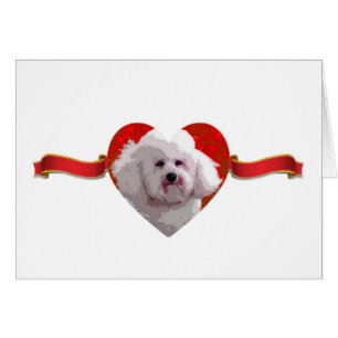 Cartas de Corazón y Cinta de Bichon Frise