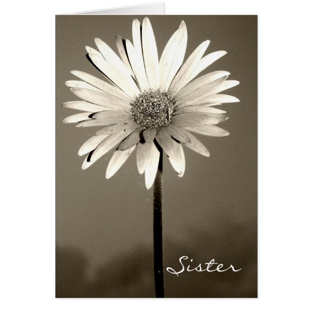 Cartas de flores de la hermana (Frente)
