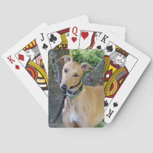 Cartas de Greyhound (5)
