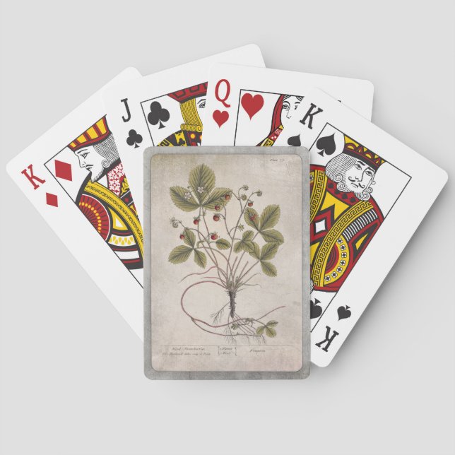 Cartas de Ilustracion de época - Fresa (Reverso)