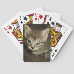 cartas de juego BLUE EYED KITTY