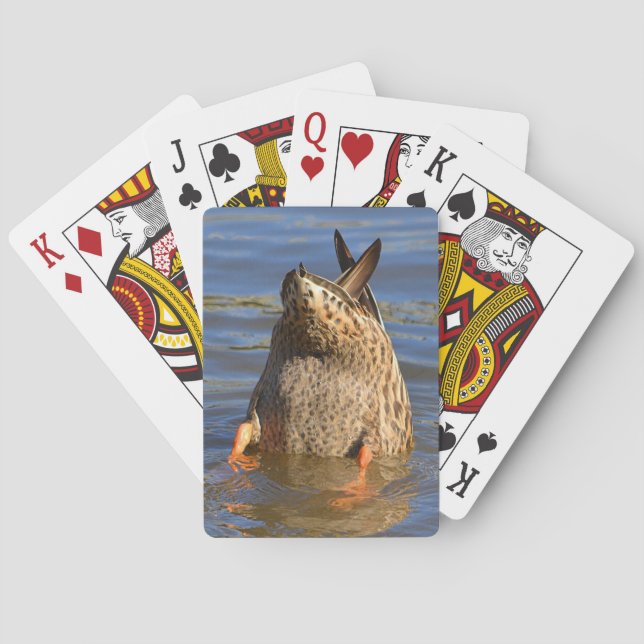 Cartas de juego Bottoms Up (Reverso)