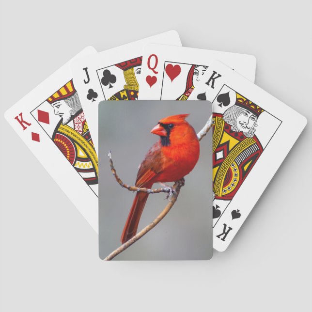 Cartas de juego cardinales (Reverso)