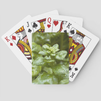 Cartas de Juego Clásicas