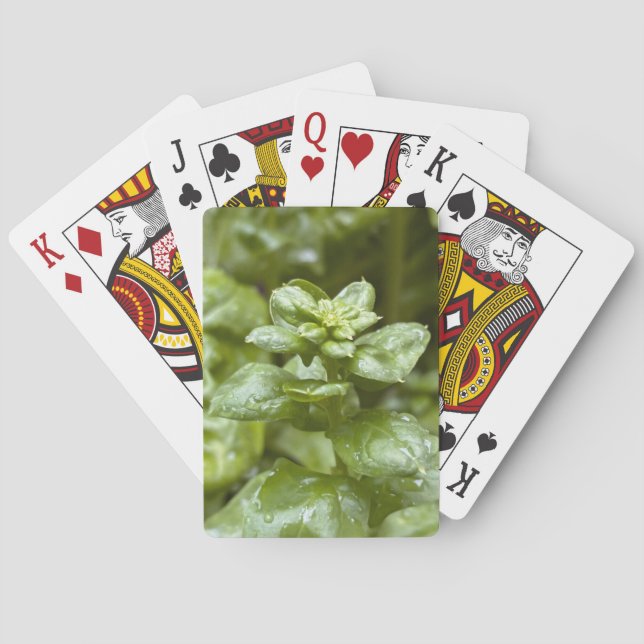Cartas de Juego Clásicas (Reverso)