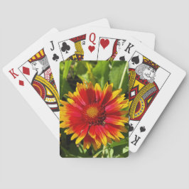 Cartas de juego clásicas de Blanketflower