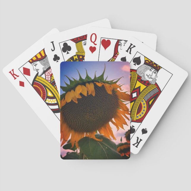 Cartas de juego clásicas de girasol (Reverso)