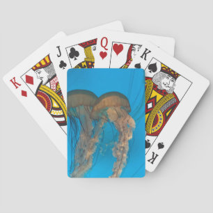 Cartas de juego clásicas de las Nettles del Mar de