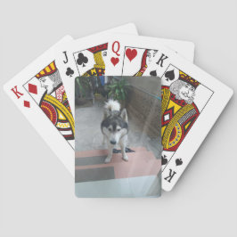 Cartas de juego clásicas de perro husky