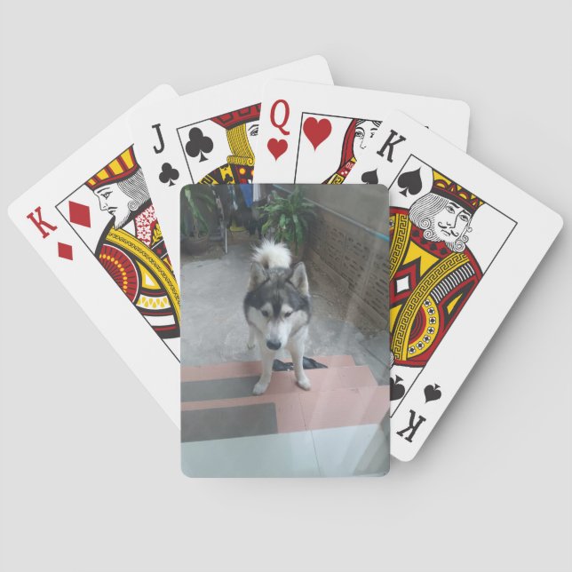 Cartas de juego clásicas de perro husky (Reverso)
