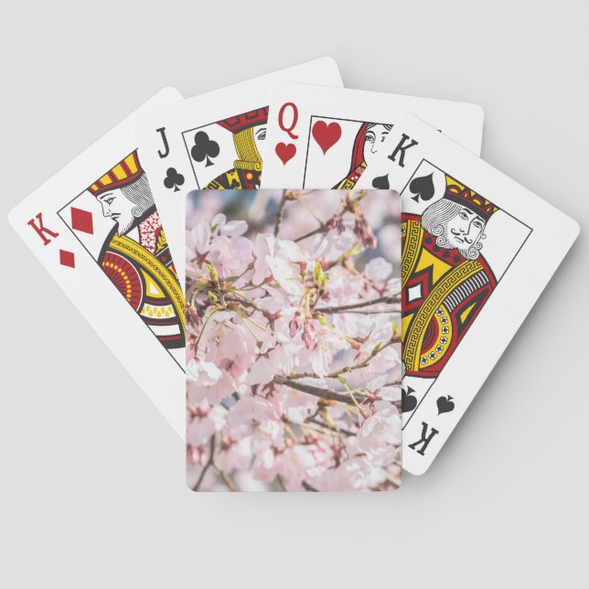 Cartas de juego con flores de cerezo (Reverso)