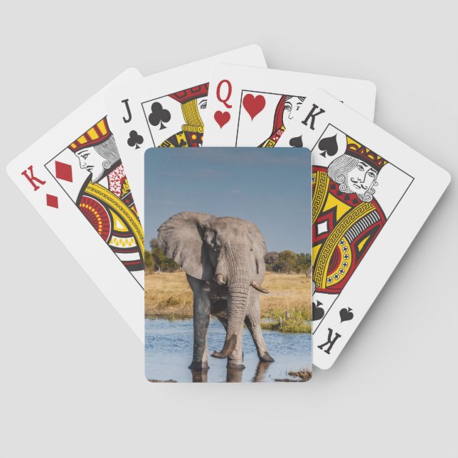 Cartas de juego con imagen delantera del elefante (Reverso)