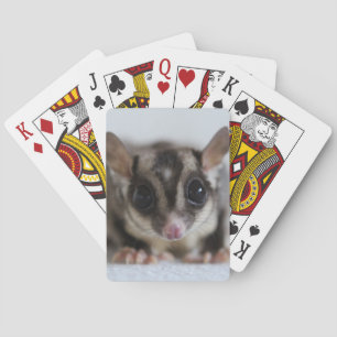 cartas de juego con planeador de azúcar