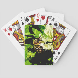 Cartas de juego de abejas con burbujas