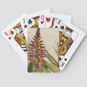 Cartas de juego de Aloe vera