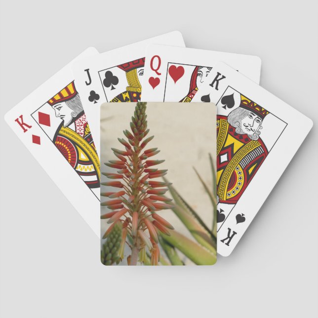 Cartas de juego de Aloe vera (Reverso)