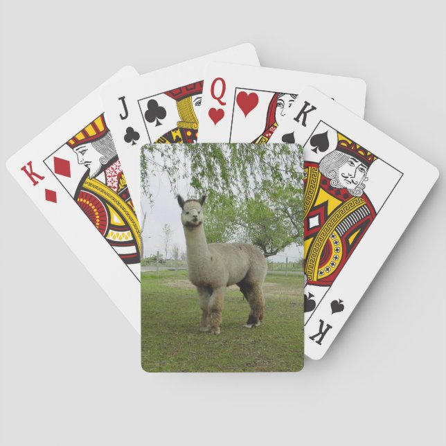Cartas de juego de Alpaca (Reverso)