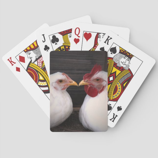 Cartas de juego de amor de pollo (Reverso)